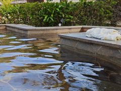 -罗浮山嘉宝田森林温泉度假酒店