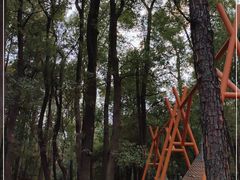 -东湖落雁景区