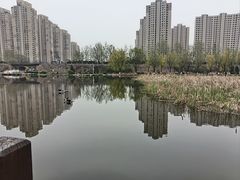 -前关湿地公园