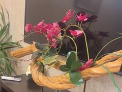 -宋庄魁元艺术餐厅