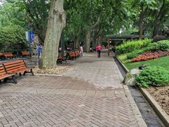 -静安公园(静安寺街道)