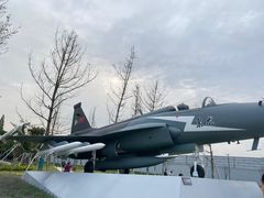 -成飞公园