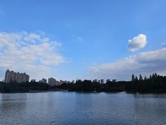 -青枫公园