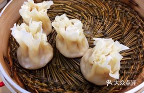 Bamboo Shoot and Pork Dumplings