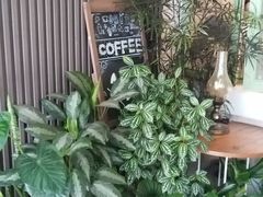 -绿房子方寸咖啡(星海名城店)