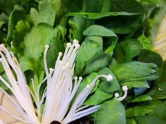 蔬菜拼盘-庄老幺火锅(娄山关路店)