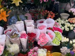 -桂林市花鸟市场