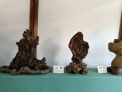 -惠山国家森林公园