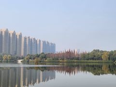 -成都南湖公园