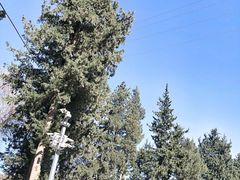 -安塔利亚博物馆