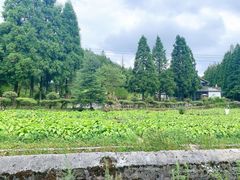 -山王坪喀斯特国家生态公园