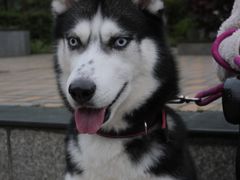 -星际传奇(新都七一国际广场店)