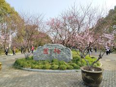 -上海海湾国家森林公园