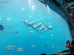 -瑞德姆美人鱼海底演艺主题餐厅(亚龙湾店)