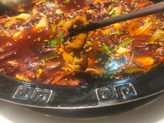 肥肠鱼-烧哥美蛙肥肠鱼火锅·十五年社区店