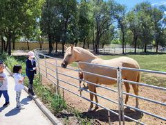 -北京群众马术培训基地