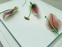 -康宁玻璃博物馆