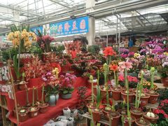 -李村大集