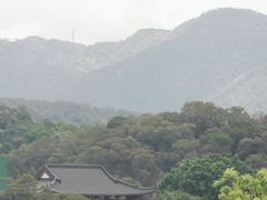 -金鸡山公园