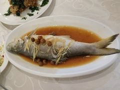 -光头匠
