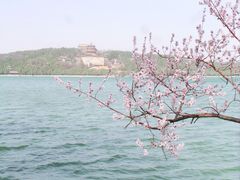 -颐和园-景明楼