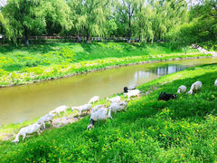-黛秀湖公园