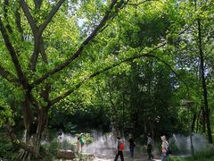 -成都市活水公园