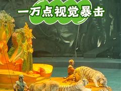 -广州长隆国际大马戏