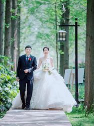 -李顺昌 SACELL LEE (旗舰店)