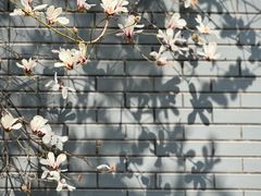 -北京航空航天大学-图书馆