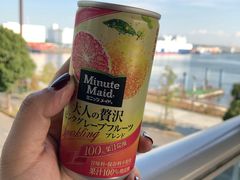 -台场海滨公园船码头