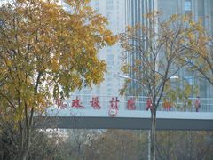 DSCN4989-后襄河公园