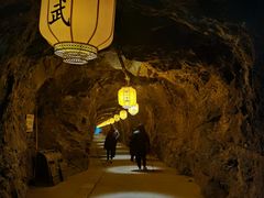 -遂昌金矿国家矿山公园