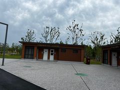-上海滨江森林公园
