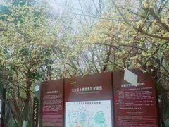 -三圣花乡旅游区