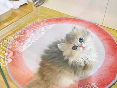 -青奢宠物·青奢猫舍