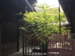 -成都观隐颐云台酒店-芳菲秀