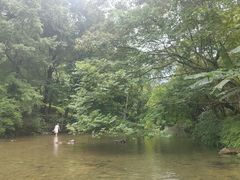 -广州市石门国家森林公园