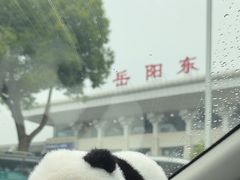 -岳阳东站