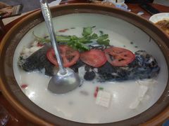 -全乐鱼馆·淳牌有机鱼直营店