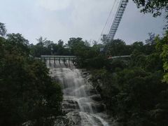 -九龙江国家森林公园