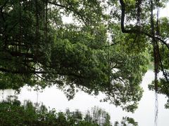 -东山湖公园