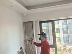 -清新全家甲醛治理(浦东新区店)