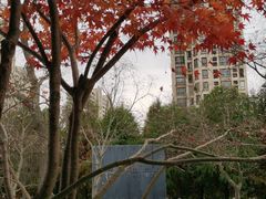 -昆山城市生态森林公园