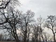 -汉长安城未央宫国家考古遗址公园