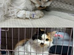 -天津前进宠物医院(前进道店)