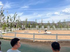 -中国马镇舞马世界主题乐园