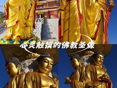 -长虫山生态公园风景林