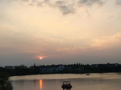 -上海长兴岛郊野公园