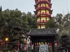 -绳金塔